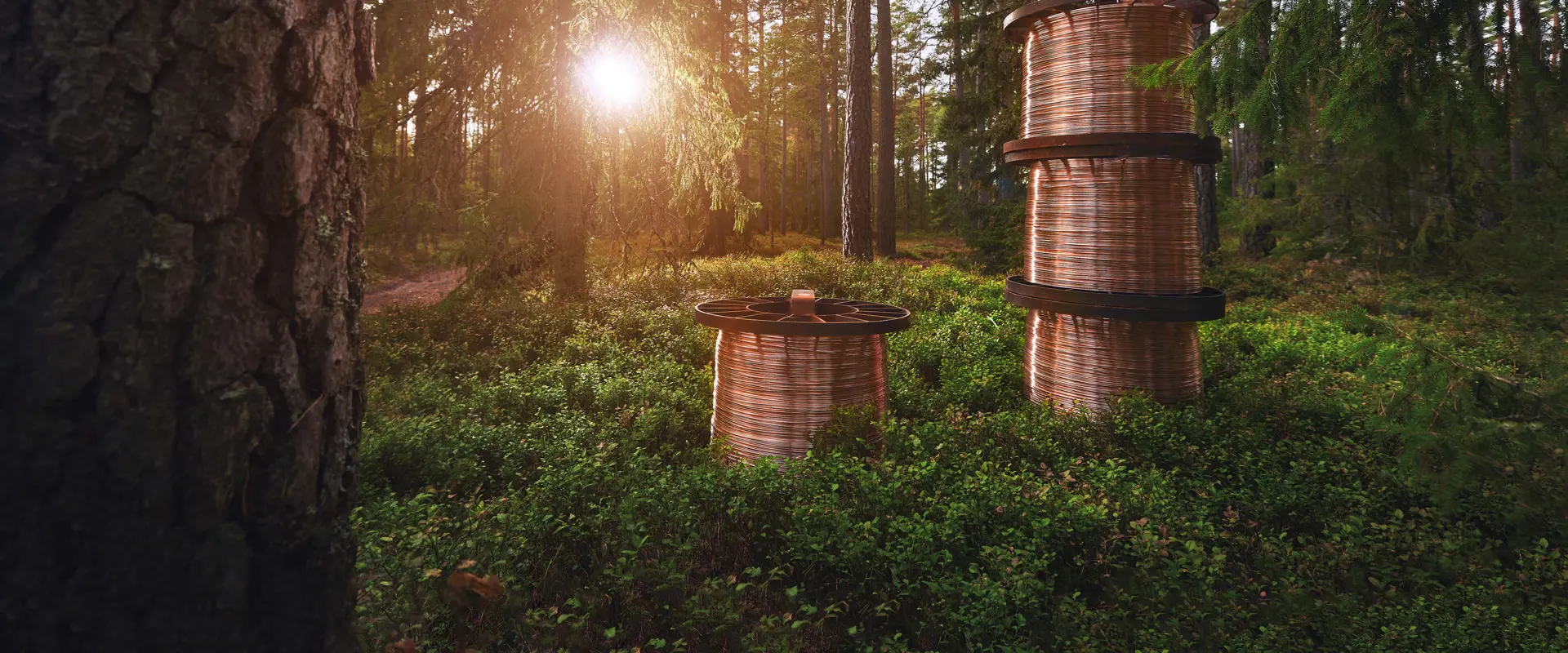 GNOSJO BRAND 210906 7947 Tradrullar High Flare 4K