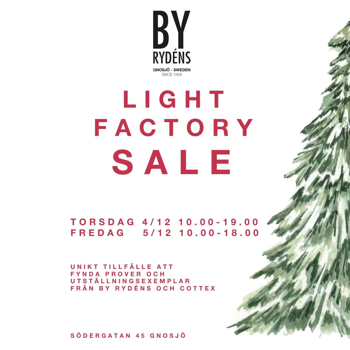 587248957 1359192859558722 4465912826974382341 N