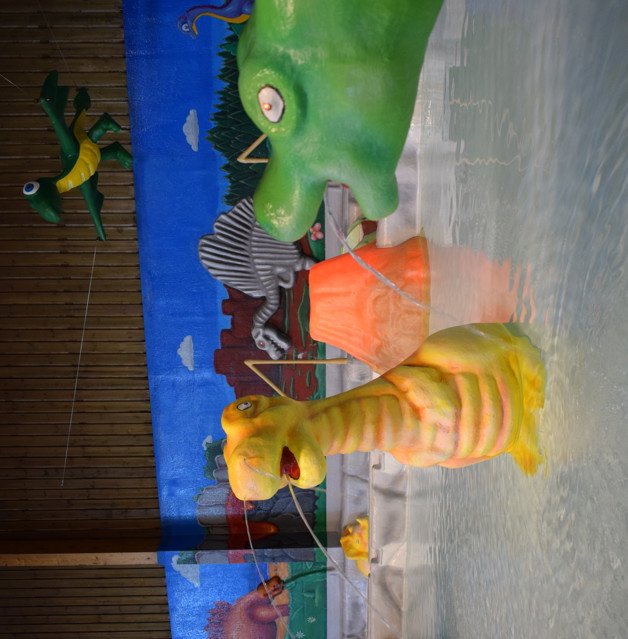 DSC 0501