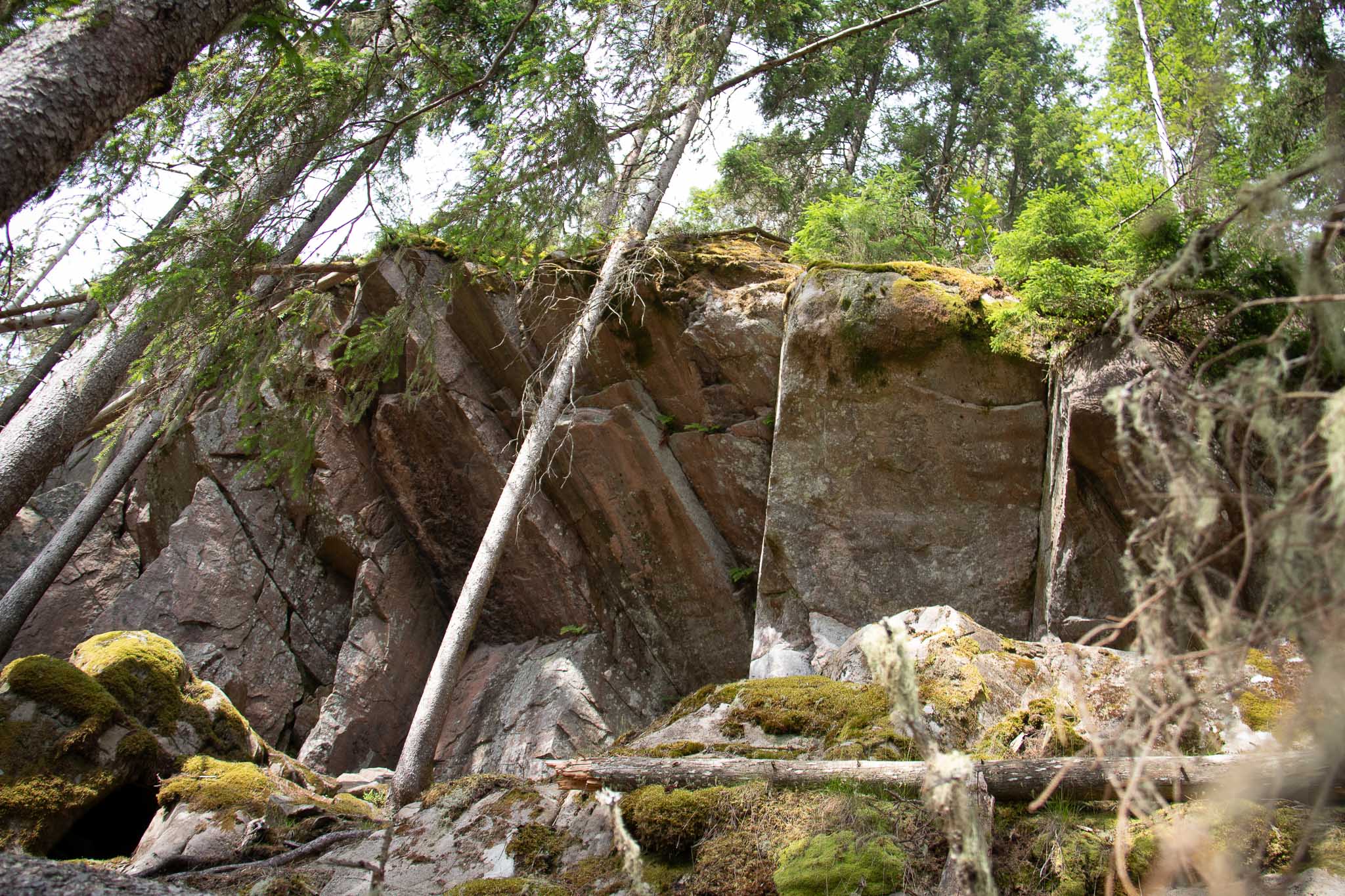 Naturhemligheter I Gnosjöandan 4