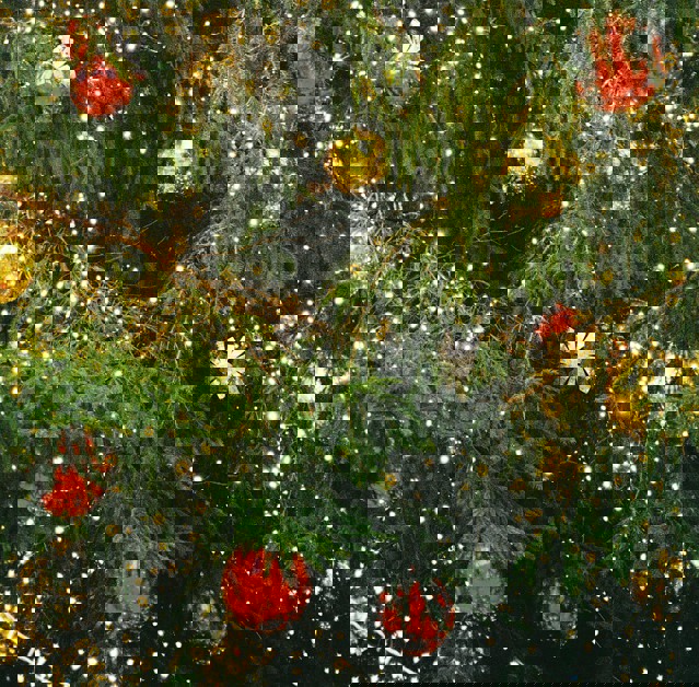 Julgran Jul Unsplash