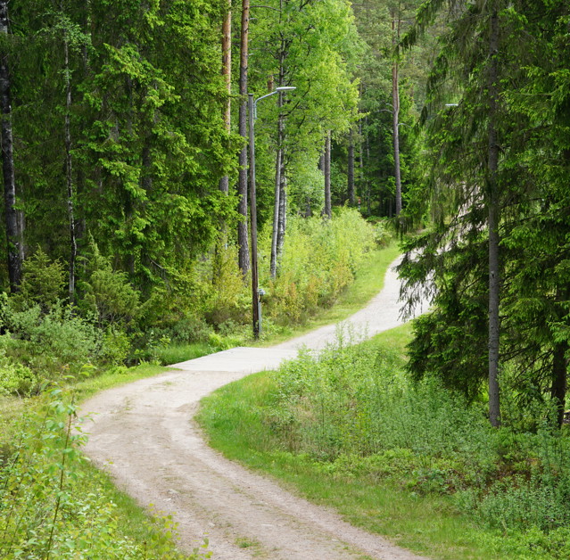 Elljusspår Töllstorp Grus Väg Skog Juni 2021