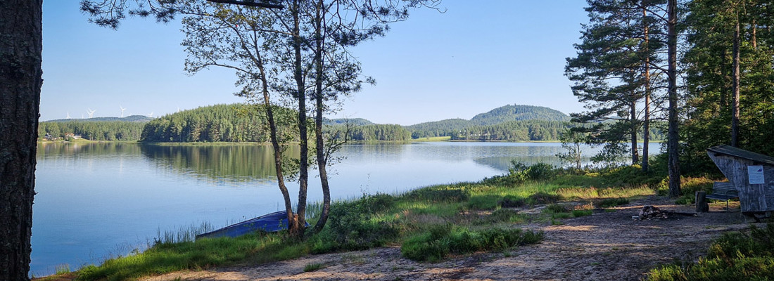 Vikaresjön